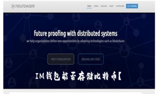 IM钱包能否存储比特币?