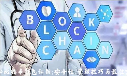 
揭秘比特币钱包私钥：安全性、管理技巧与最佳实践