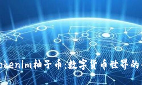 深入解读Tokenim柚子币：数字货币世界的创新与机遇
