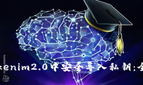 如何在Tokenim2.0中安全导入私钥：全方位指南