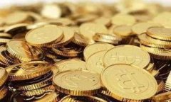 揭秘Tokenim：创新团队背后的故事与愿景