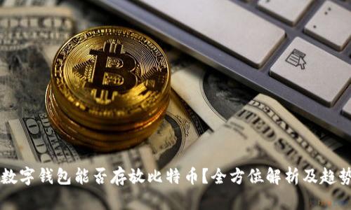 中国数字钱包能否存放比特币？全方位解析及趋势展望