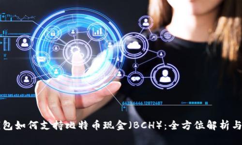 以太坊钱包如何支持比特币现金（BCH）：全方位解析与用户指南
