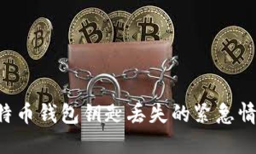 如何处理比特币钱包钥匙丢失的紧急情况：全面指南