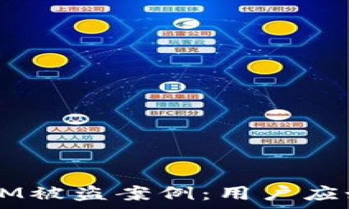   
深入解析TokenIM被盗案例：用户应如何防范及应对？