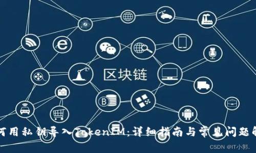如何用私钥导入TokenIM：详细指南与常见问题解答