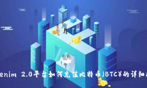 Tokenim 2.0平台如何充值比特币（BTC）的详细指南