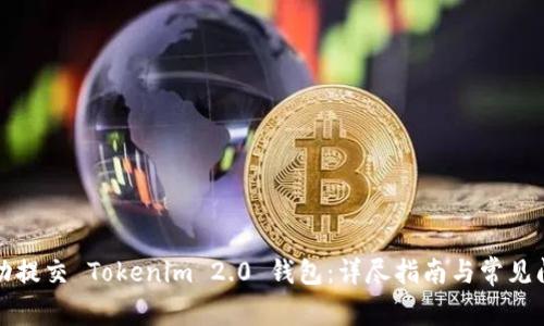 如何成功提交 Tokenim 2.0 钱包：详尽指南与常见问题解答