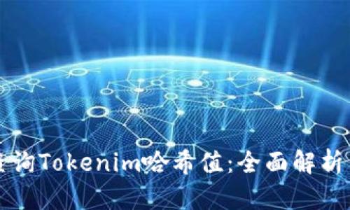 如何轻松查询Tokenim哈希值：全面解析与应用指南