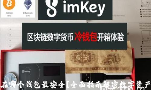 
比特币存在哪个钱包最安全？全面指南解密数字资产保护之道
