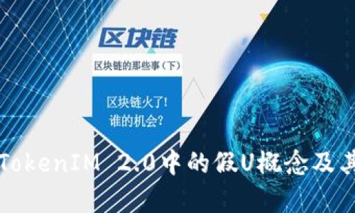 深入解析TokenIM 2.0中的假U概念及其应用前景