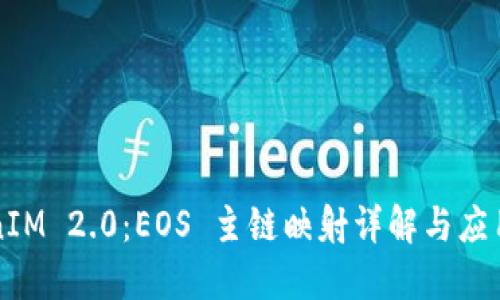 TokenIM 2.0：EOS 主链映射详解与应用展望