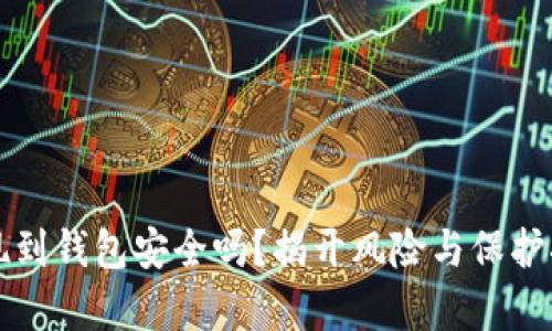 比特币提现到钱包安全吗？揭开风险与保护措施的真相