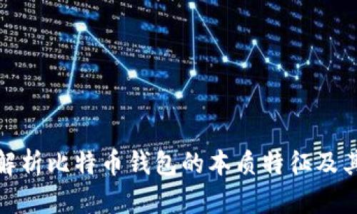 深入解析比特币钱包的本质特征及其影响
