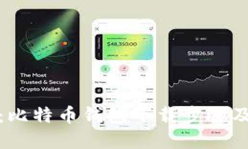 完整指南：比特币钱包下载步骤及使用详解