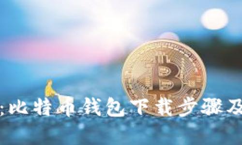 完整指南：比特币钱包下载步骤及使用详解