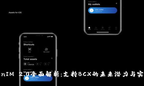 TokenIM 2.0全面解析：支持BCX的未来潜力与实用性