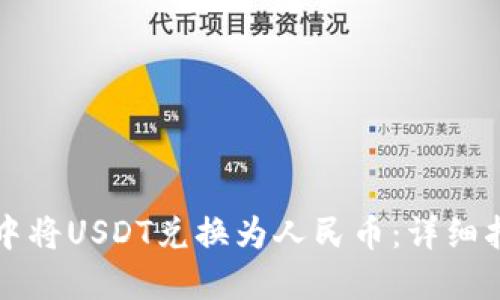 如何在TP钱包中将USDT兑换为人民币：详细指南与实用技巧