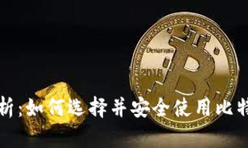 全面解析：如何选择并安全使用比特币钱包