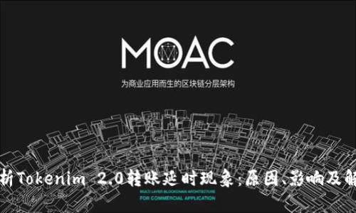 深入解析Tokenim 2.0转账延时现象：原因、影响及解决方案