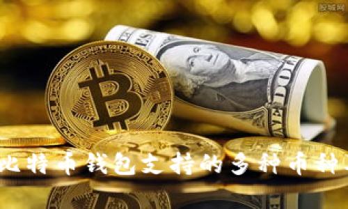 全面解析：比特币钱包支持的多种币种及其优缺点
