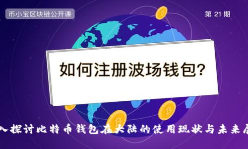 深入探讨比特币钱包在大陆的使用现状与未来展望
