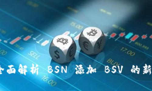 TokenIm 2.0：全面解析 BSN 添加 BSV 的新功能与应用前景