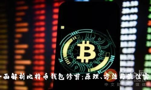 全面解析比特币钱包修剪：原理、方法与最佳实践