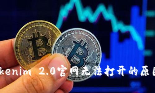 全面解析：Tokenim 2.0官网无法打开的原因及解决方案