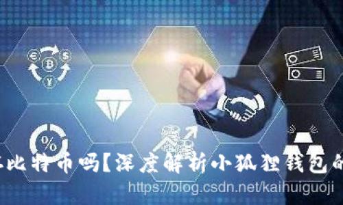  小狐狸钱包能存比特币吗？深度解析小狐狸钱包的功能与使用指南