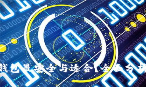 biao ti/比特币存入哪个钱包最安全与适合？全面分析各种钱包类型与选购指南