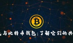 USDT钱包与比特币钱包：了解它们的共用与差异