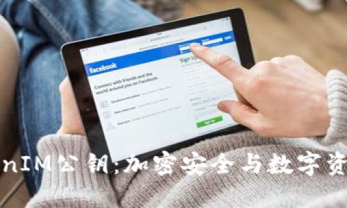 深入理解TokenIM公钥：加密安全与数字资产保护的基石