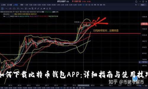 如何下载比特币钱包APP：详细指南与使用技巧