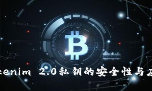 深入了解Tokenim 2.0私钥的安全性与应用实用指南