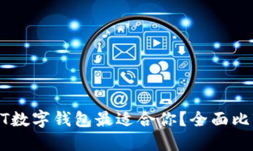 哪个USDT数字钱包最适合你？全面比较与推荐