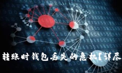 如何应对比特币转账时钱包丢失的危机？详尽指南与解决方案