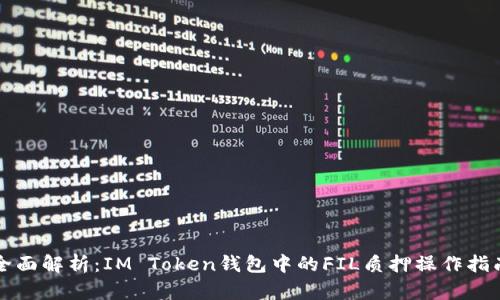 全面解析：IM Token钱包中的FIL质押操作指南