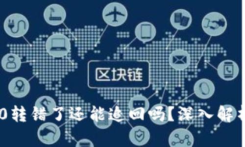 Tokenim 2.0转错了还能追回吗？深入解析与解决方案