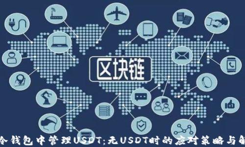 
如何在冷钱包中管理USDT：无USDT时的应对策略与解决方案
