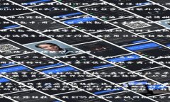   小狐狸钱包支持狗狗币吗？全面解析小狐狸钱包