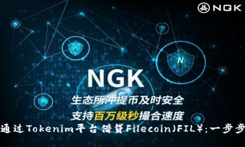 如何通过Tokenim平台借贷Filecoin（FIL）：一步步指南