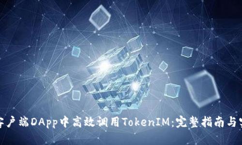 如何在客户端DApp中高效调用TokenIM：完整指南与实践案例