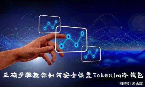 正确步骤教你如何安全恢复Tokenim冷钱包
