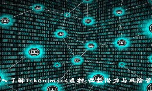 深入了解Tokenimdot质押：收益潜力与风险管理