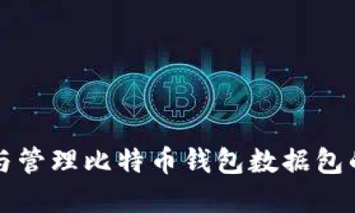 如何获取与管理比特币钱包数据包的完整指南