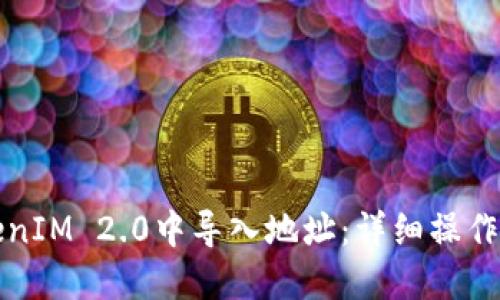 如何在TokenIM 2.0中导入地址：详细操作及技巧指南