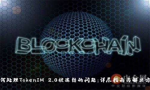 如何处理TokenIM 2.0被冻结的问题：详尽指南与解决方案