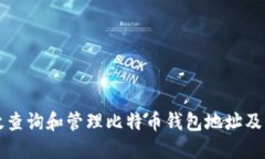 如何高效查询和管理比特币钱包地址及交易记录