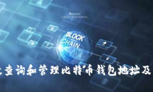 如何高效查询和管理比特币钱包地址及交易记录